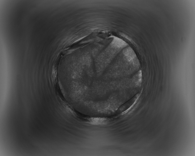 X0000084560192200703231807