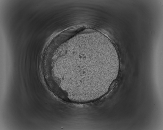 X0000084560193200703231807