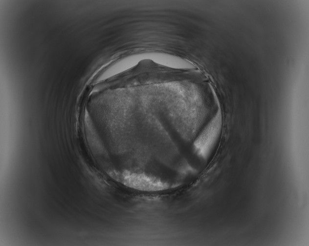 X0000084560194200703231807