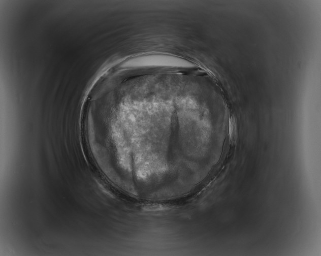 X0000084560195200703231807