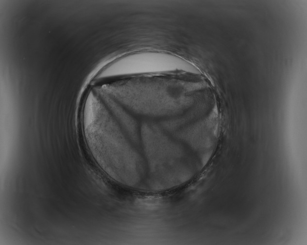 X0000084560196200703231807