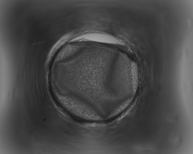 X0000084560197200703231807