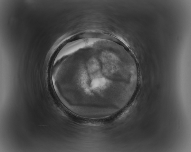 X0000084560199200703231807