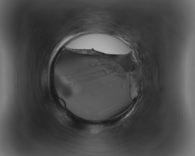 X0000084560200200703231806