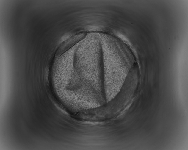 X0000084560201200703231806