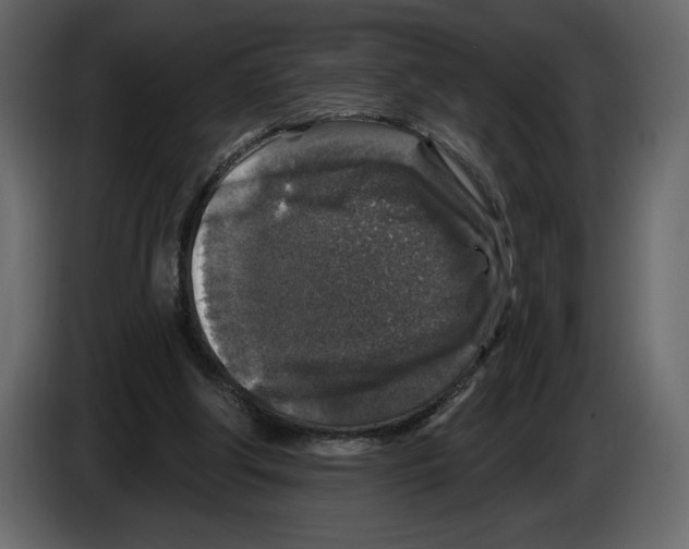 X0000084560202200703231806