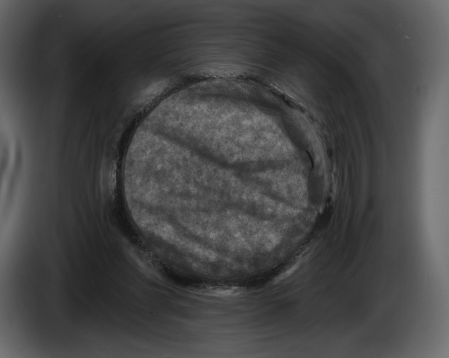 X0000084560206200703231806