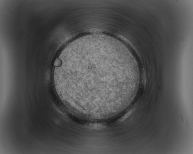 X0000084560208200703231806