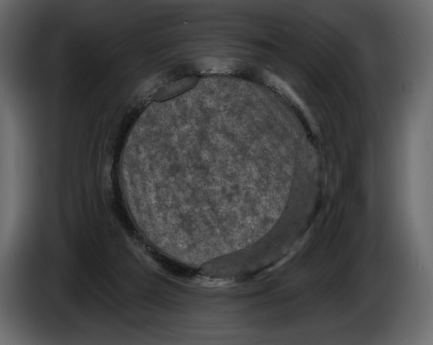 X0000084560209200703231806