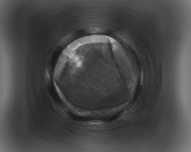 X0000084560214200703231806