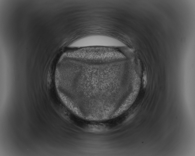 X0000084560215200703231806