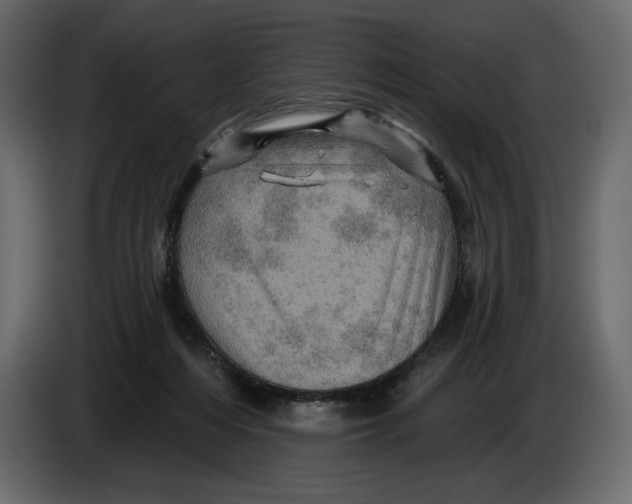 X0000084560216200703231806