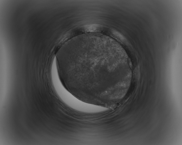 X0000084560217200703231806