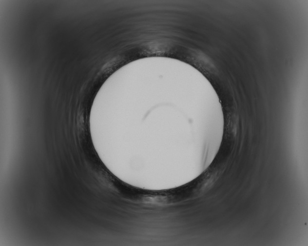 X0000084560220200703231806