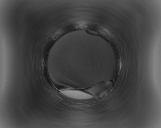 X0000084560223200703231806