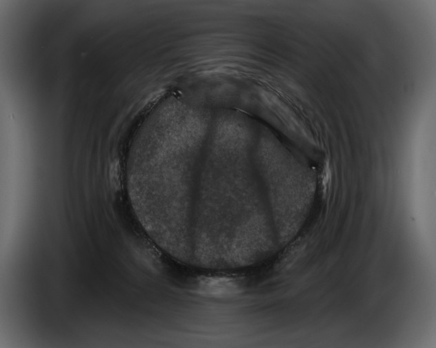 X0000084560224200703231806