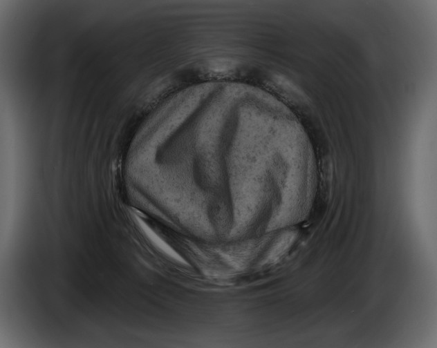 X0000084560225200703231806