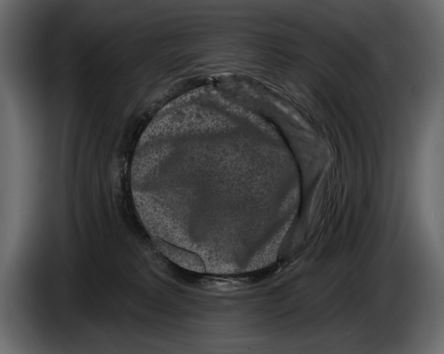 X0000084560229200703231806