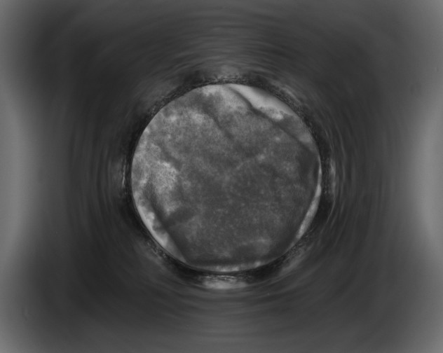 X0000084560230200703231806