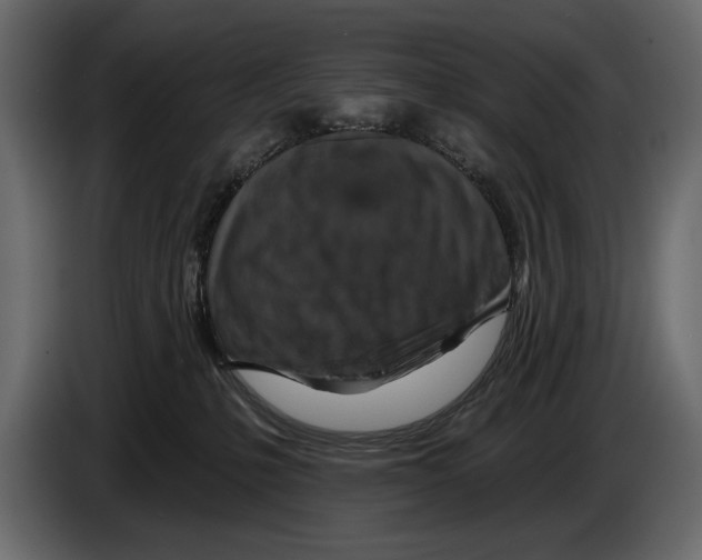 X0000084560231200703231806