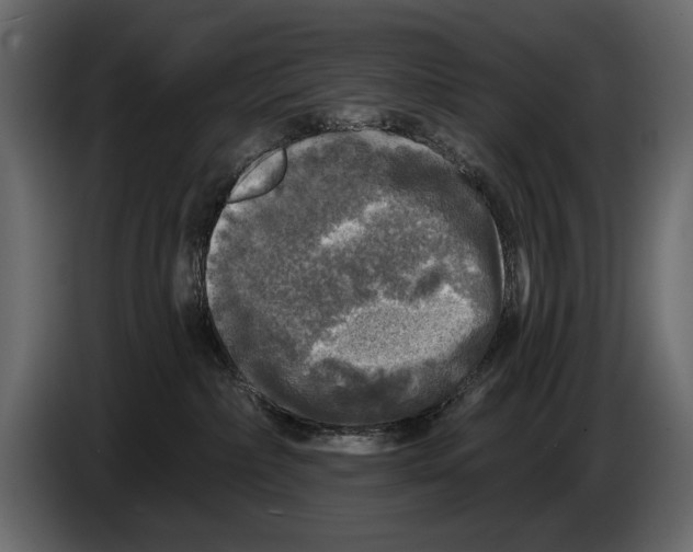 X0000084560236200703231806