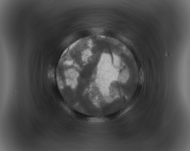 X0000084560238200703231806