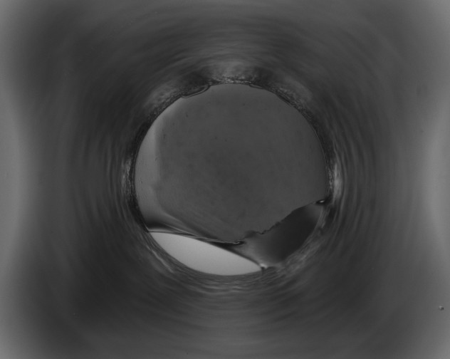 X0000084560239200703231806