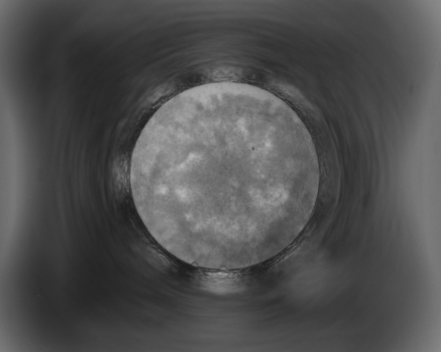 X0000084560240200703231806