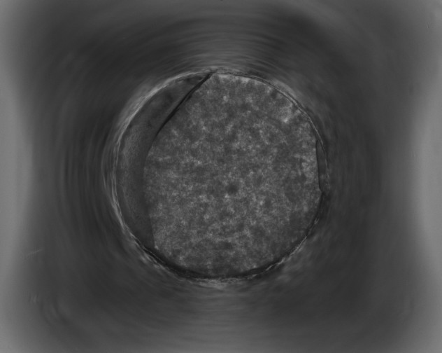 X0000084560241200703231805