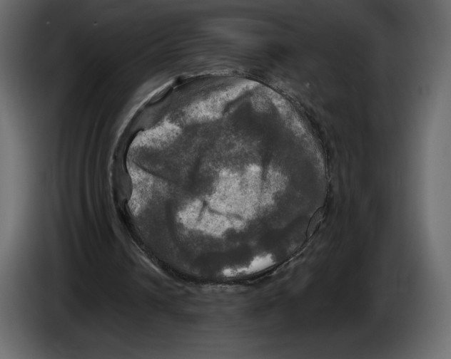 X0000084560242200703231805