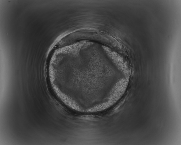 X0000084560244200703231805