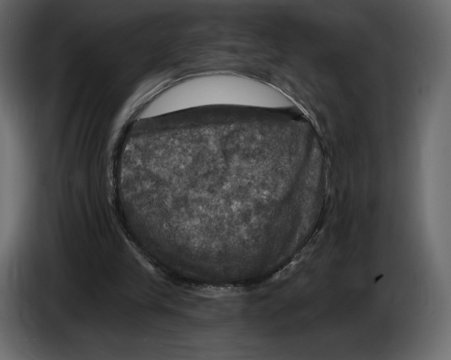 X0000084560245200703231805