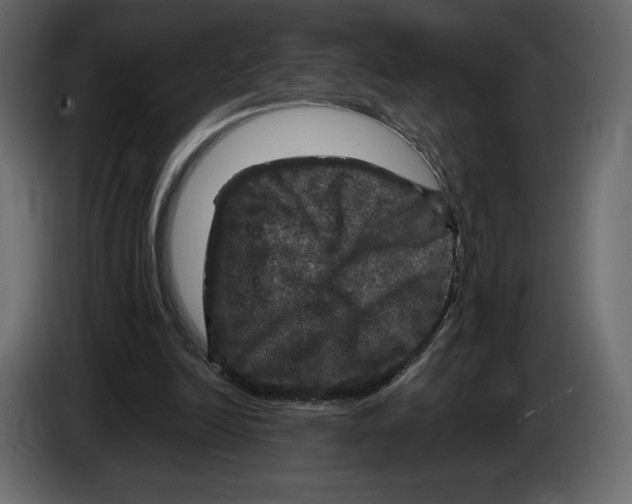 X0000084560246200703231805