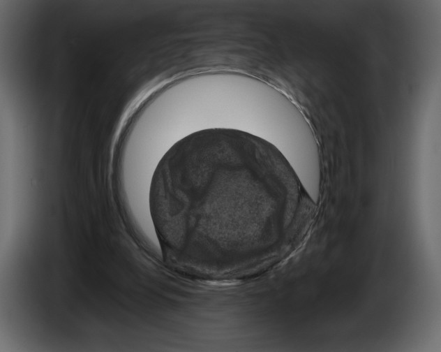 X0000084560248200703231805