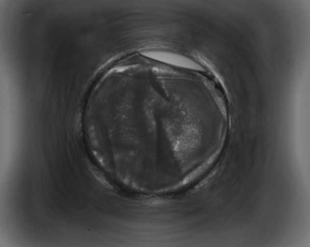 X0000084560249200703231805