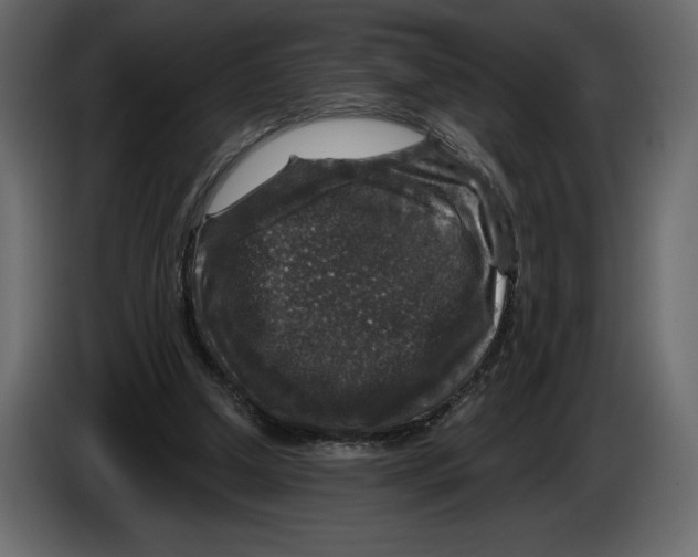 X0000084560250200703231805