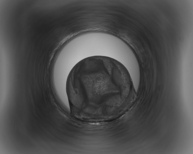 X0000084560252200703231805