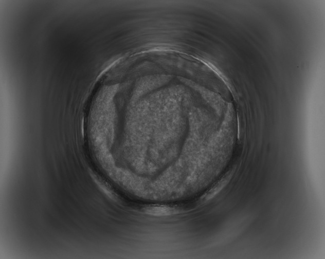 X0000084560253200703231805