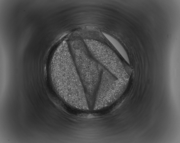 X0000084560254200703231805