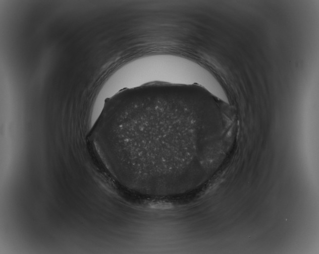 X0000084560258200703231805