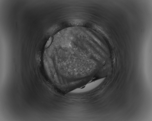 X0000084560259200703231806