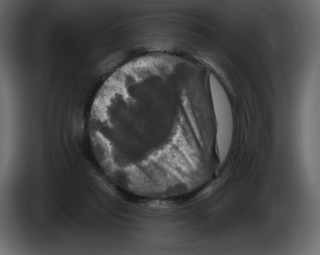 X0000084560261200703231806