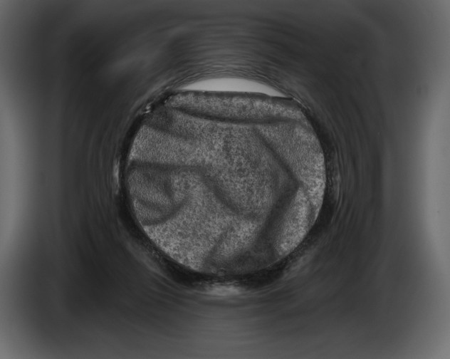 X0000084560262200703231806