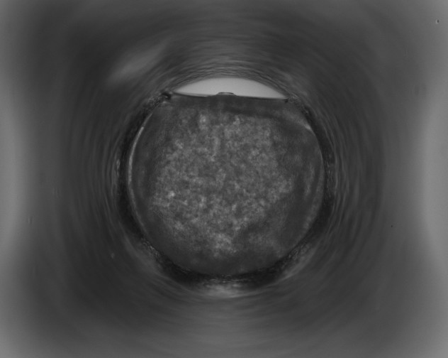 X0000084560263200703231806