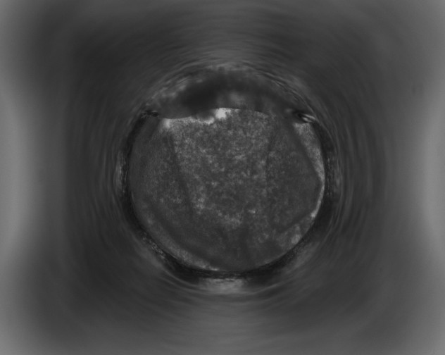 X0000084560266200703231806