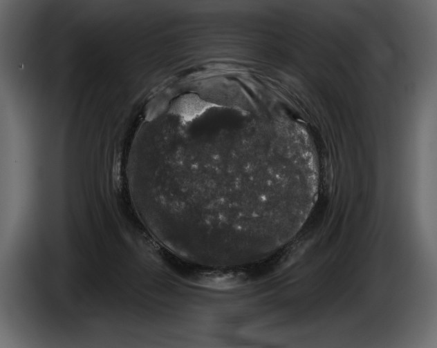 X0000084560267200703231806