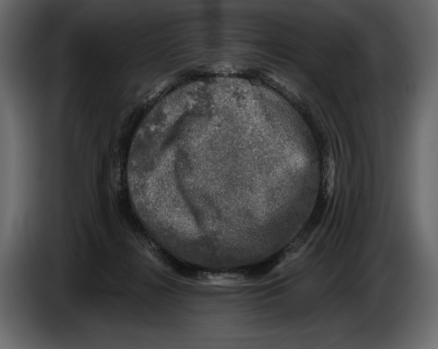 X0000084560268200703231806