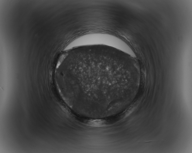 X0000084560269200703231806