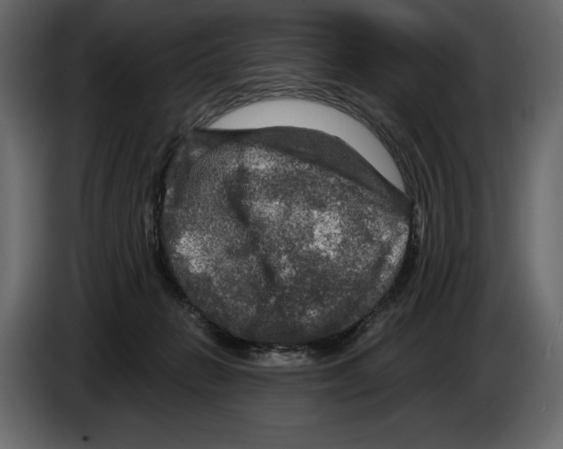 X0000084560270200703231806