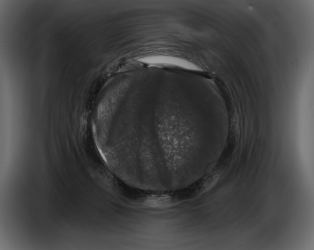 X0000084560271200703231806